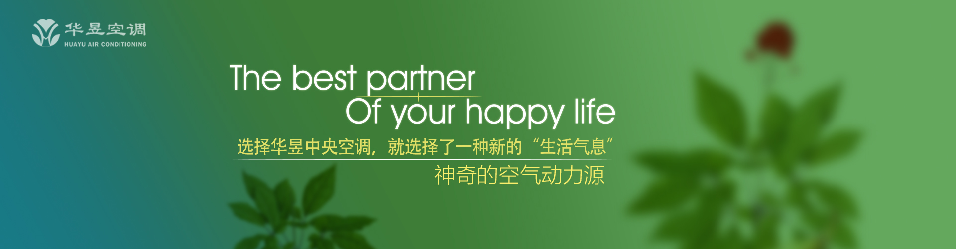 绝世超伦网